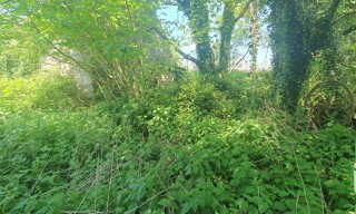 Photo N° 6