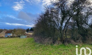 Photo N° 5