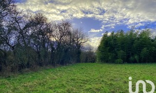 Photo N° 6