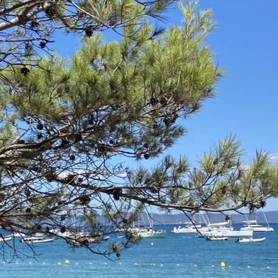 Appartement 5 pièces 880000 €