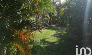 Photo N° 6