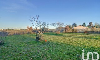 Photo N° 5