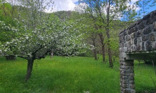 Photo N° 4