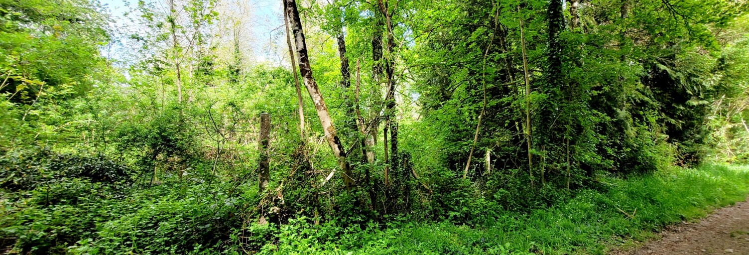 Terrain  2224 m² à vendre à Villeneuve-sur-Bellot (77510)