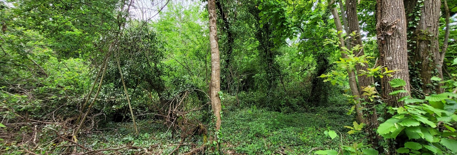 Terrain  2224 m² à vendre à Villeneuve-sur-Bellot (77510)