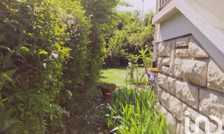 Photo N° 5