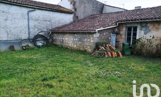 Photo N° 19
