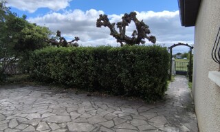 Photo N° 3
