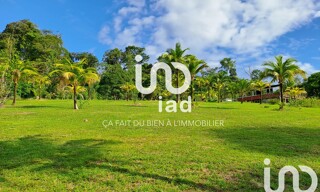 Photo N° 3