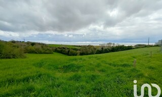 Photo N° 6