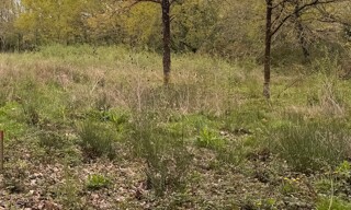 Terrain  1200 m² à vendre à La Brède (33650)