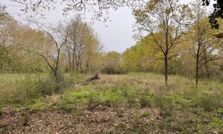 Terrain  856 m² à vendre à Martillac (33650)
