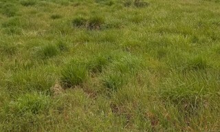 Terrain  800 m² à vendre à Saint-Selve (33650)