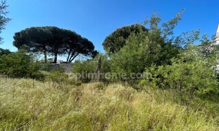 Terrain  250 m² à vendre à La Flotte (17630)