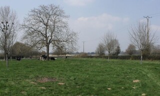 Terrain  1283 m² à vendre à Bosc-Bordel (76750)