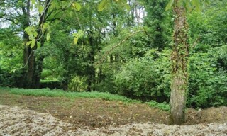Photo N° 3