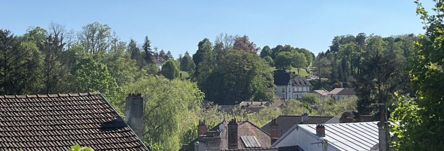 Maison 7 Pièces 186 m² à vendre à Bourbonne-les-Bains (52400)