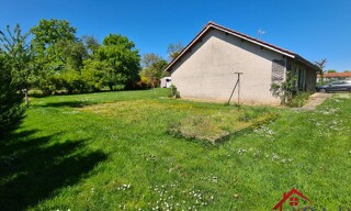Photo N° 5
