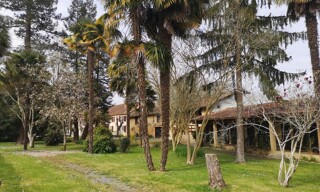 Commerce 22 Pièces 780 m² à vendre à Bourrouillan (32370)