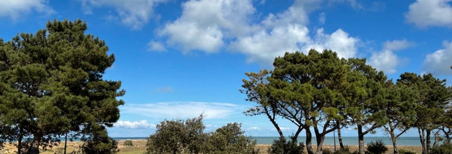 Maison 9 Pièces 190 m² à vendre à La Brée-les-Bains (17840)