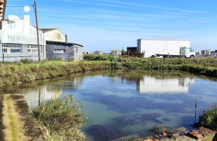 CABANE PORT LA GREVE — photo 2
