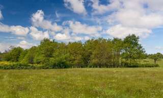 Terrain  1446 m² à vendre à Yvré-l'Évêque (72530)