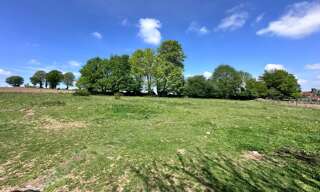 Maison 7 Pièces 244 m² à vendre à Noues de Sienne (14380)