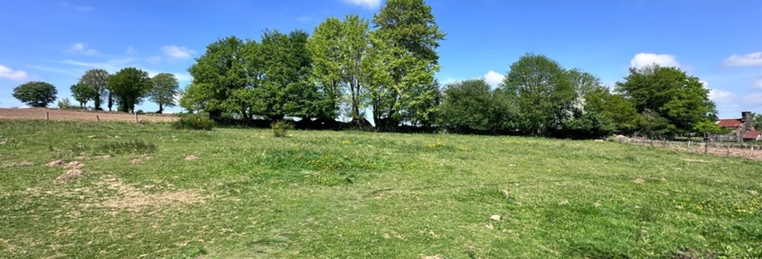 Maison 7 Pièces 244 m² à vendre à Noues de Sienne (14380)