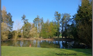 Photo N° 5