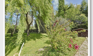 Photo N° 4