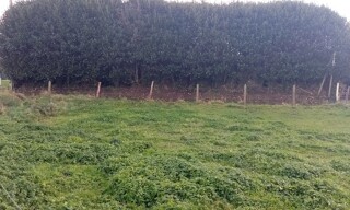 Terrain  950 m² à vendre à Valmont (76540)