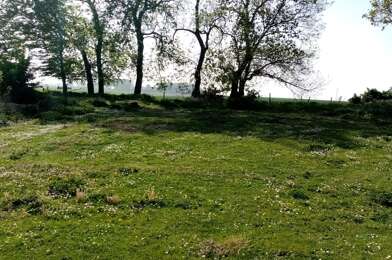 Terrain  56500 €