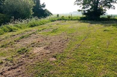 Terrain  56500 €