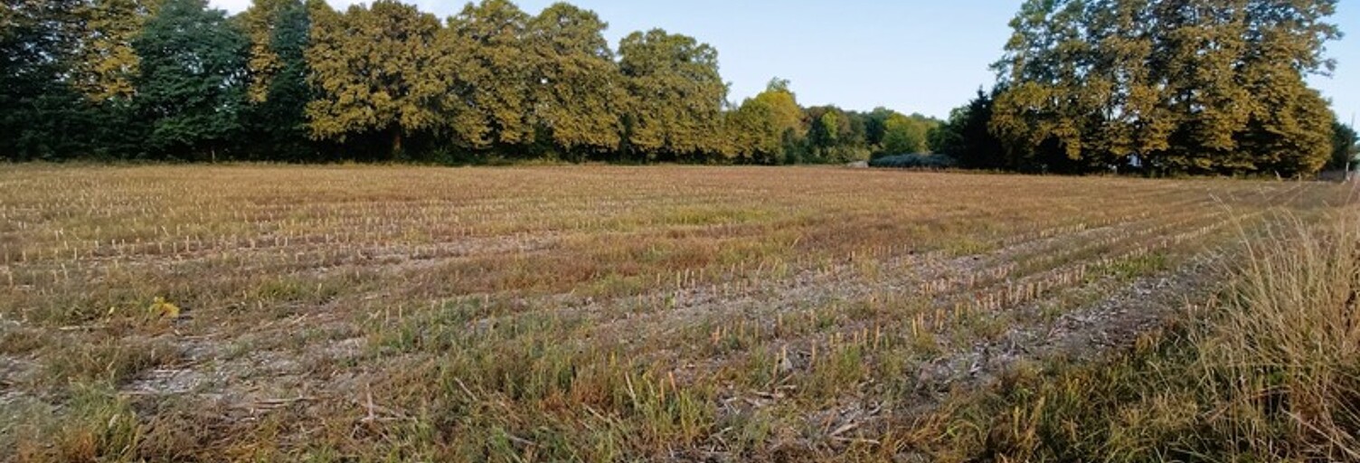 Terrain  770 m² à vendre à Tostat (65140)