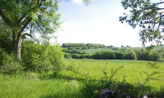 Photo N° 4