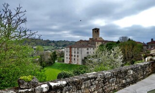 Photo N° 8