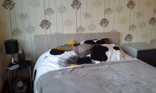 Photo N° 5