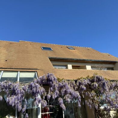 Appartement 1 pièces 600 €