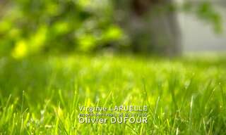 Terrain  2100 m² à vendre à Bihorel (76420)