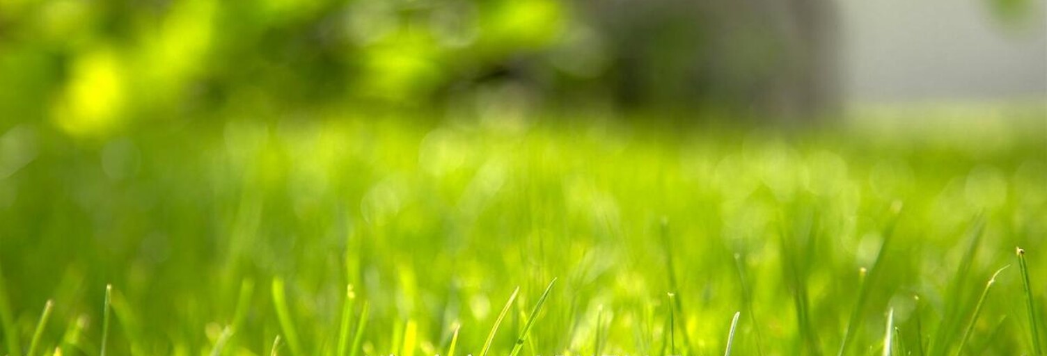 Terrain  2100 m² à vendre à Bihorel (76420)