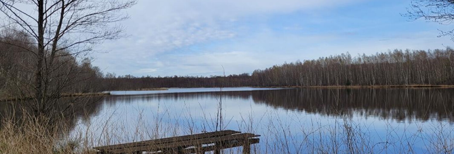 Commerce  142558 m² à vendre à Citers (70300)