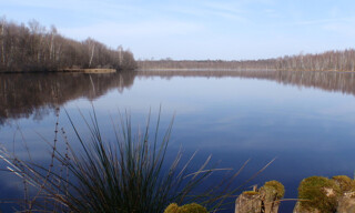 Photo N° 5