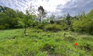 Terrain  1200 m² à vendre à Saint-Geniès-de-Comolas (30150)