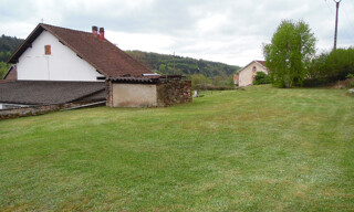 Photo N° 6