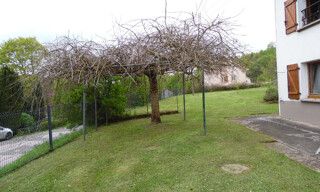 Photo N° 8