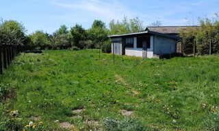 Photo N° 4