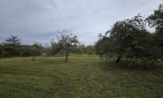 Photo N° 5