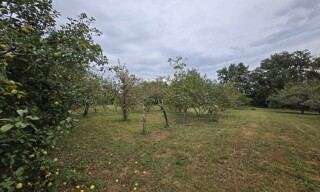 Photo N° 6