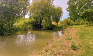 Photo N° 2