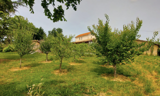 Photo N° 3